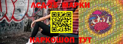 шишки Малгобек